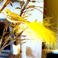 Vintage Czech Republic, Glass Blown, Hand Painted Christmas Tree Ornament - small bird with clip