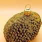 Vintage Czech Republic, Glass Blown, Hand Painted Christmas Tree Ornament - Hedgehog