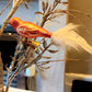 Vintage Czech Republic, Glass Blown, Hand Painted Christmas Tree Ornament - small bird with clip